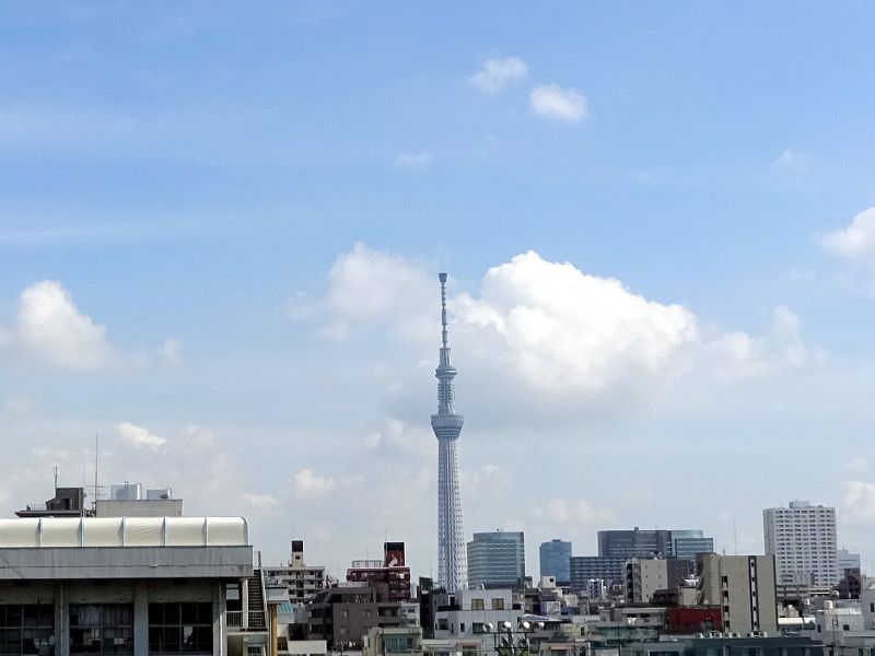 �����X�J�C�c���[�E��