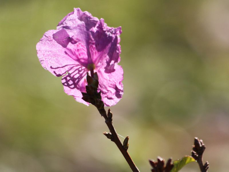 �Q���J�C�c�c�W