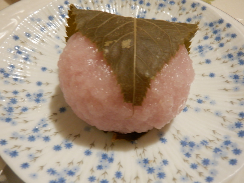 �T�N�����`�i���݁j