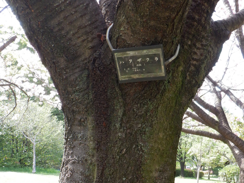 �n�^�U�N��