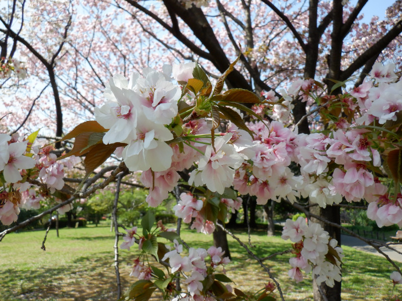 �n�^�U�N��