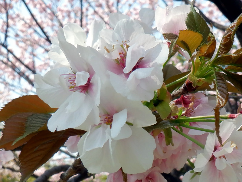 �n�^�U�N��