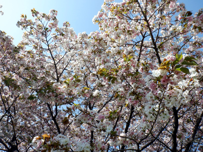 �n�^�U�N��