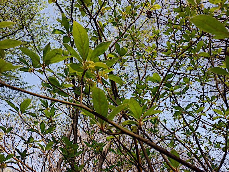 �N�����W