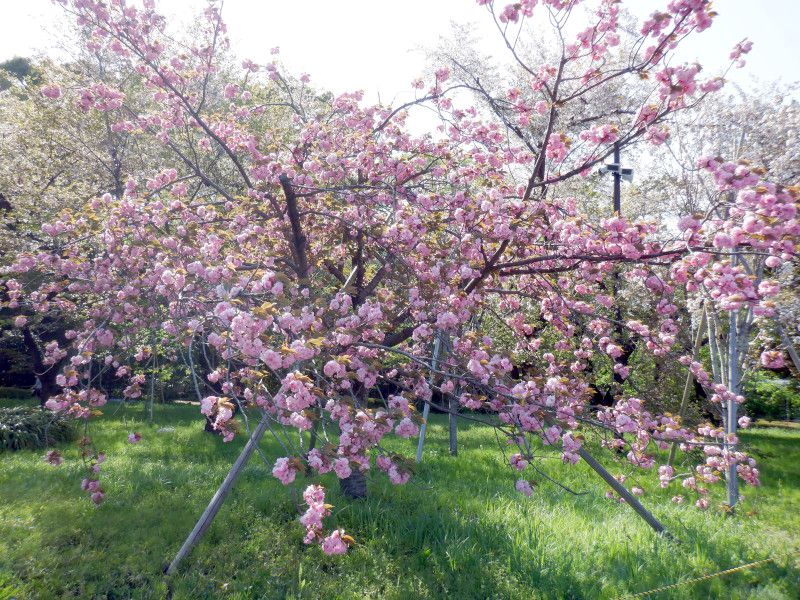 �J���U��