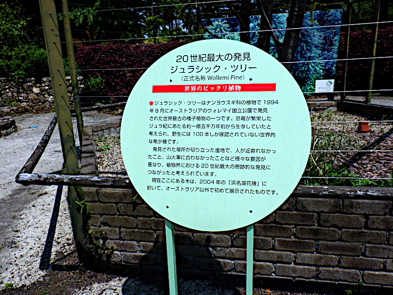 �W�����V�b�N�E�c���[(Jurassic Tree)