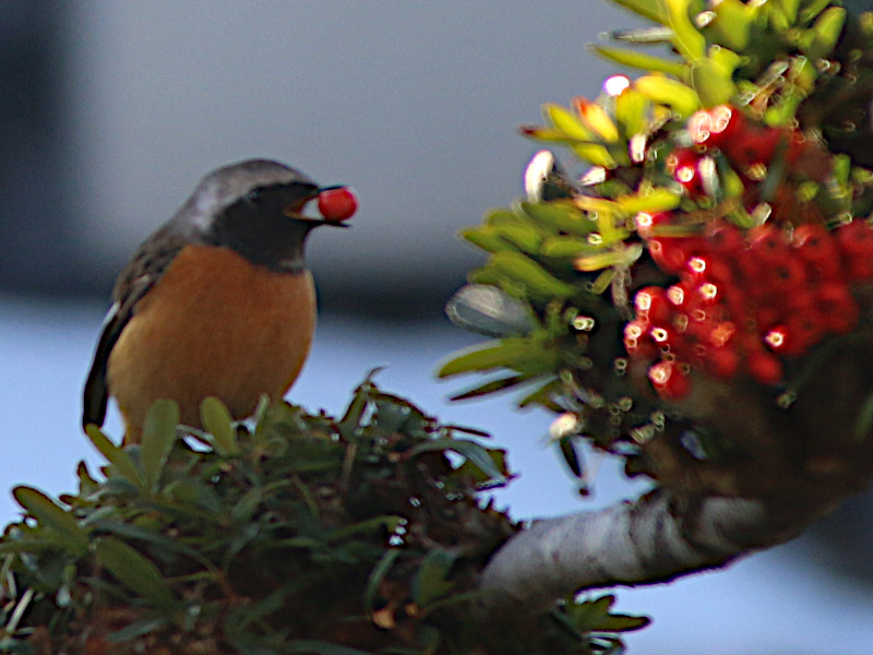 �s���J���T