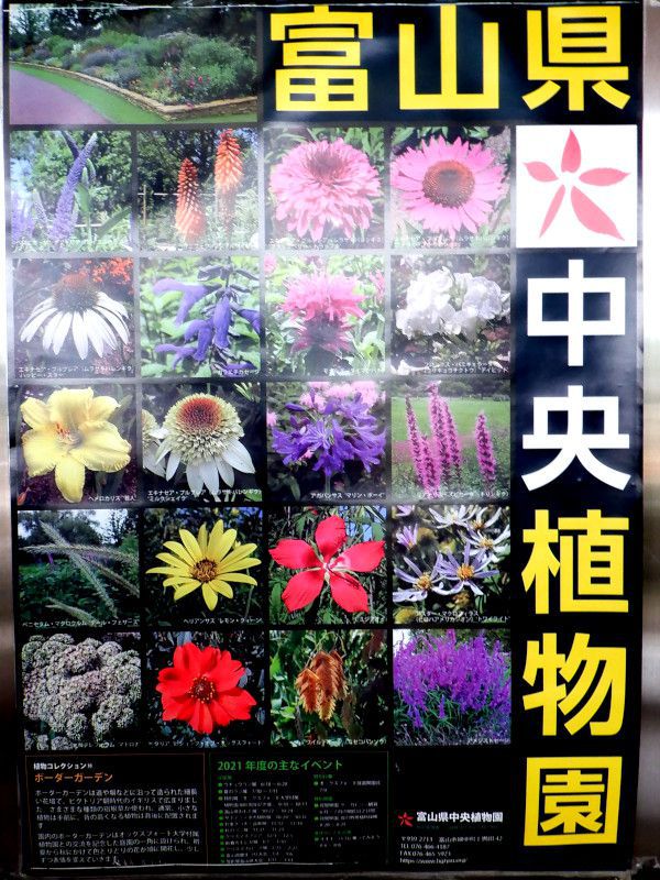 富山県中央植物園のポスター