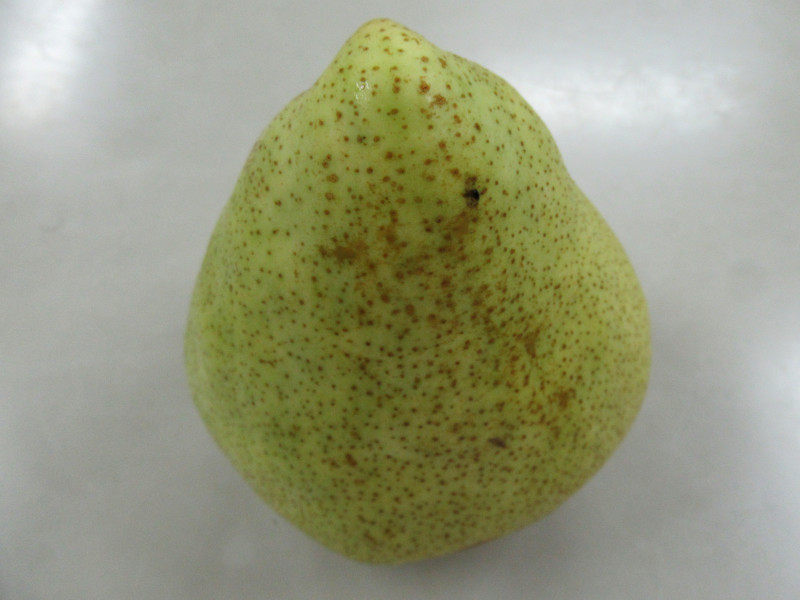 }QbgE}[imarguerite marillatj