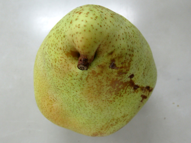 }QbgE}[imarguerite marillatj