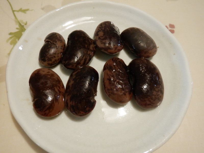 xjoiCQigԉBAwFPhaseolus coccineus L.j