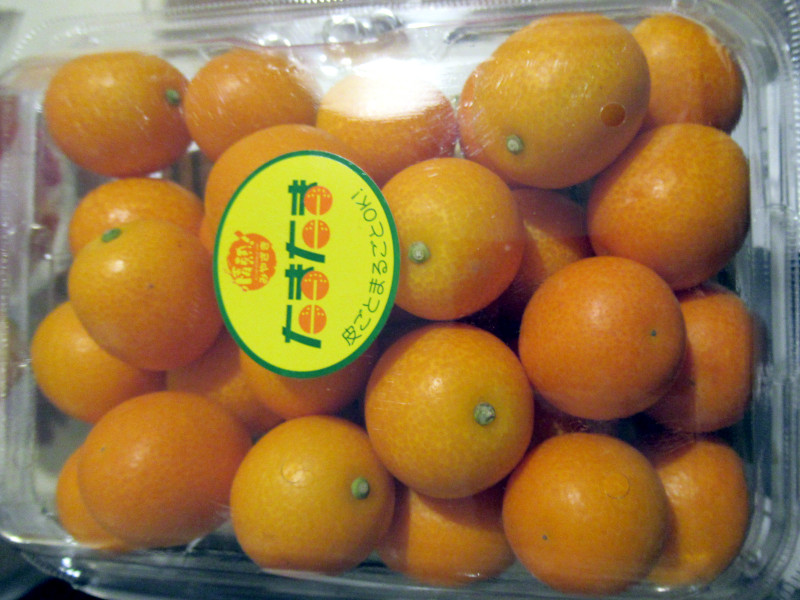 きんかん様 960px-Citrus_japonica2.jpg