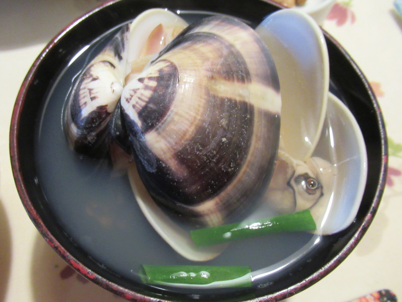 �n�}�O���̂��z����