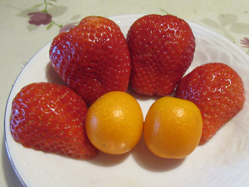 �Ƃ��������Ƃ��܂���