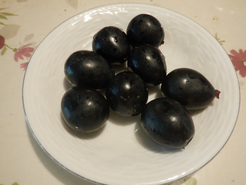 ����p�[�v��