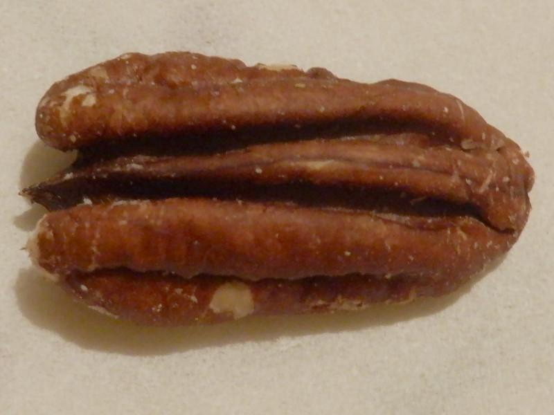 yJibcipecan-nutsj