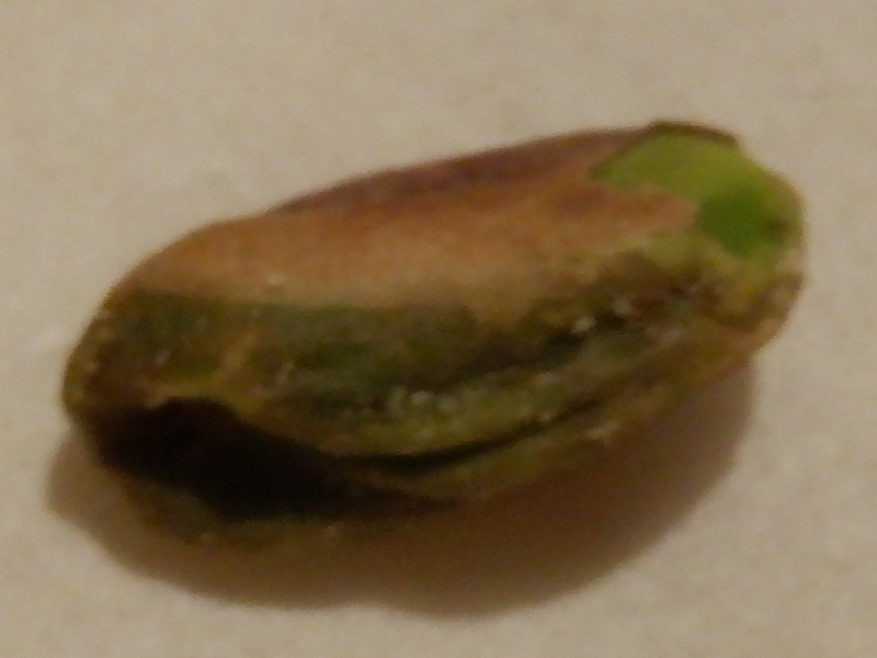 sX^`Iipistachioj