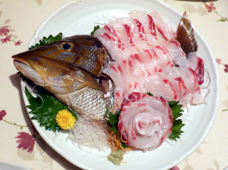 tGtL_CiJAwFLethrinus haematopterusj