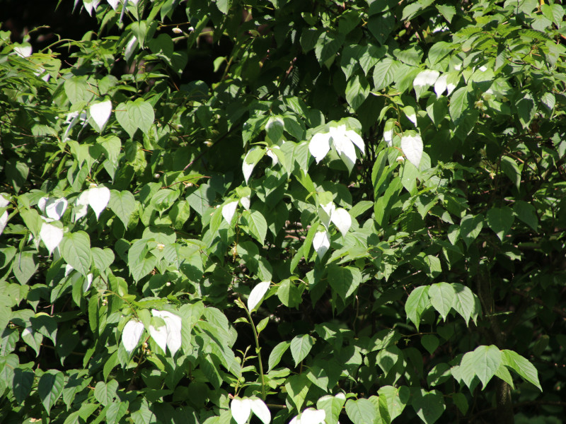 �I�I�o�A�T�K���i��t���k�j