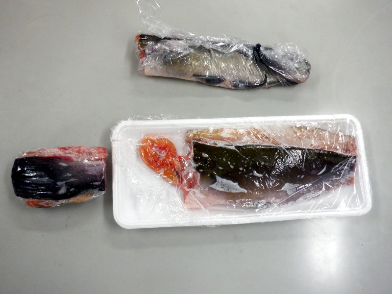 �i�}�Y���