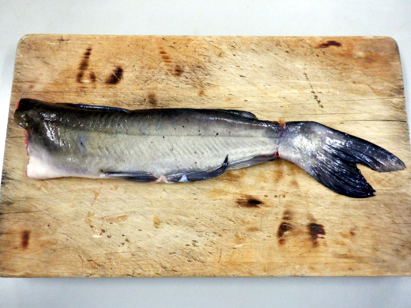 �i�}�Y���