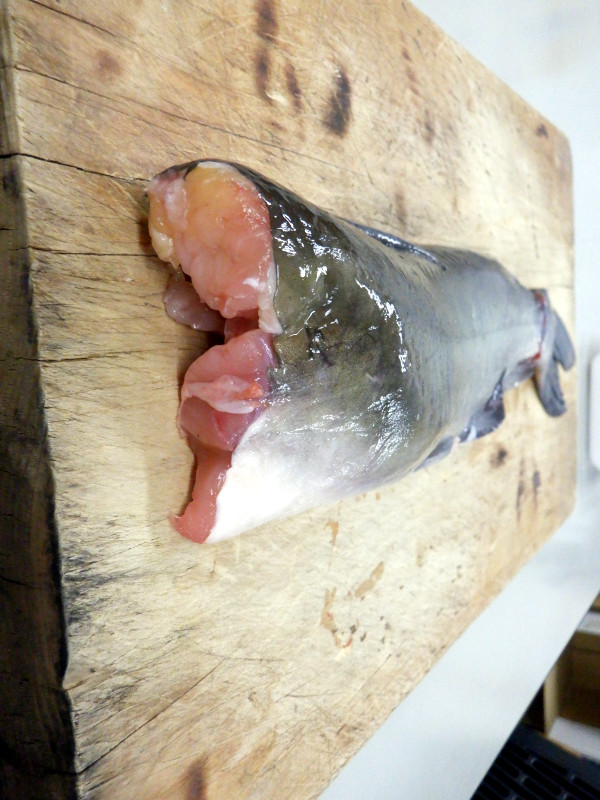 �i�}�Y���