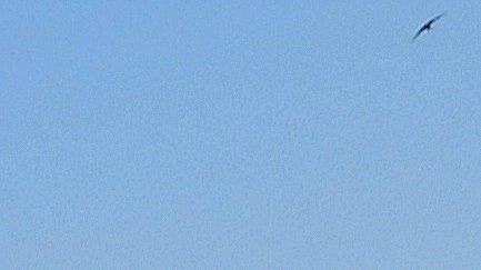 �Ă�����(2001�N)