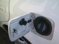 �Z���t����