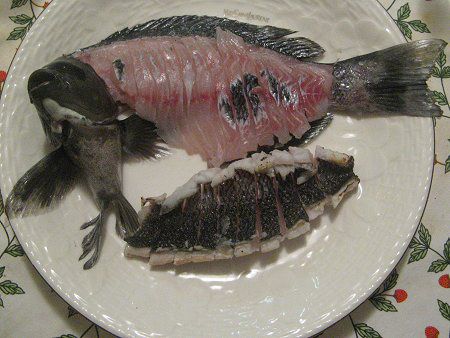 調理姿-メジナお造り