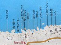 城ヶ崎マップ 根の名前 かぎけんweb