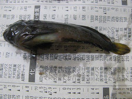 �`�`�u(�m�X��)