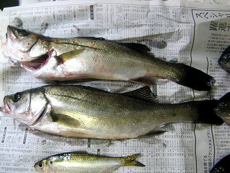 �X�Y�L(�t�b�R)