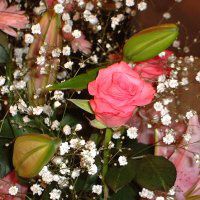 10̉#3-Ԃ̃u[Pi2001Nj