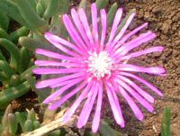 �}�c�o�M�N(���t�e)