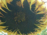 �q�}�����i�������j