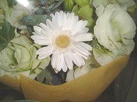 10���̉� �u�[�P