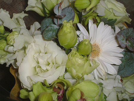 10���̉� �u�[�P