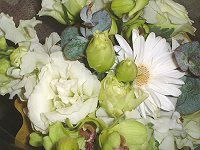 10���̉� �u�[�P