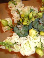 10���̉� �u�[�P