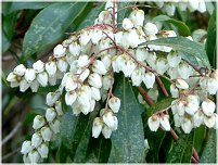 �A�Z�r�i�n���؁j