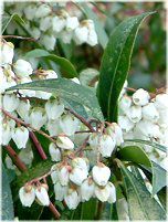 �A�Z�r�i�n���؁j