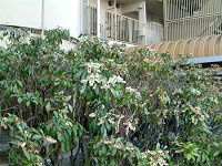 �A�Z�r�i�n���؁j