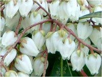 �A�Z�r�i�n���؁j