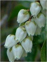 �A�Z�r�i�n���؁j