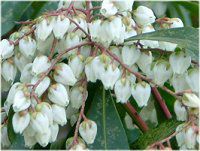 �A�Z�r�i�n���؁j