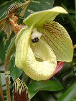 ptBIyfBEfieBiDelenati) 