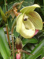 ptBIyfBEfieBiDelenati) 