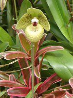 ptBIyfBEfieBiDelenati) 