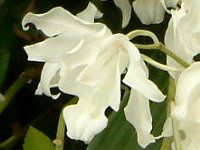 ZWlENX^[^EzEJ'sAzCg'