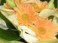 10���̉�#1(2002)�@�K���F�̃u�[�P